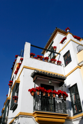 Poinsettias adorning a Spanish home