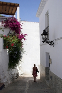 Spanish street in spring